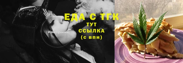 дмт Бородино