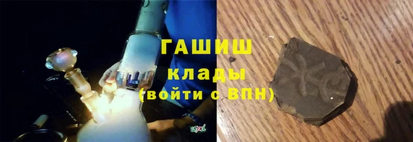 дмт Бородино