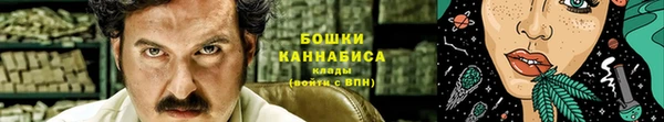 дмт Бородино