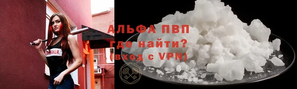 дмт Бородино