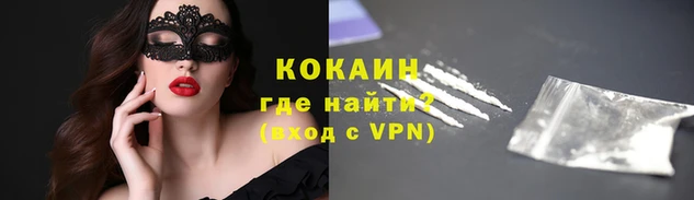 дмт Бородино