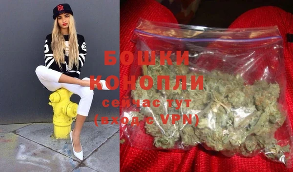 ECSTASY Бронницы