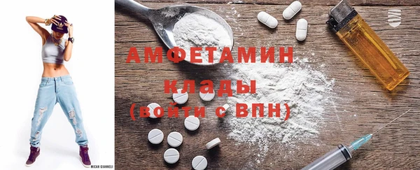 дмт Бородино