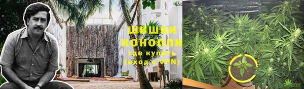 тгк Богданович
