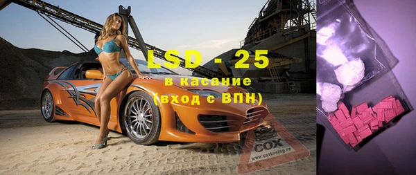 дмт Бородино