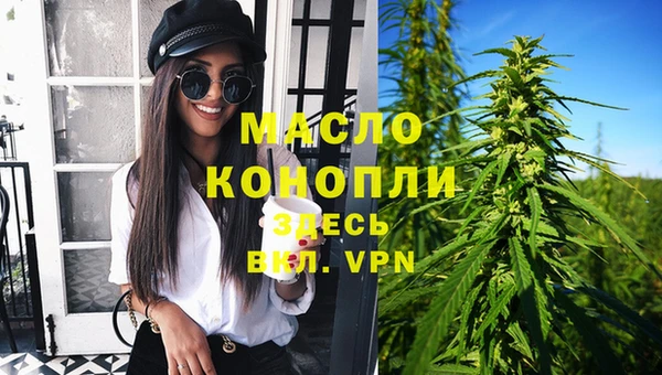 дмт Бородино