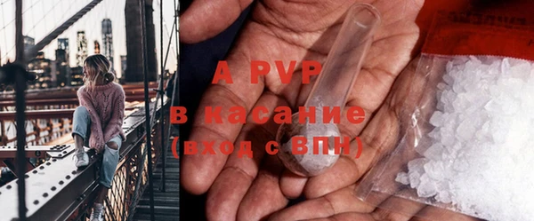дмт Бородино