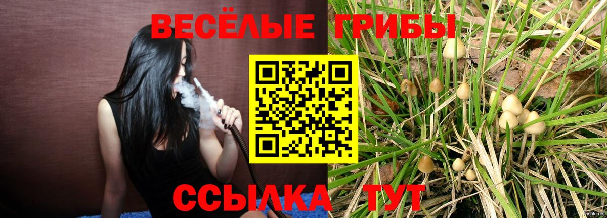 Дагестанские Огни  Псилоцибиновые грибы MAGIC MUSHROOMS  Вход с VPN 