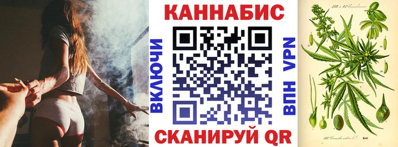 Канабис OG Kush Дагестанские Огни